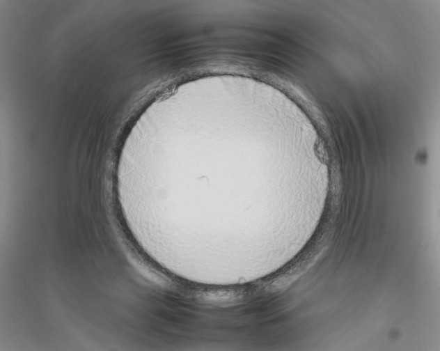 X0000116880445201002021151