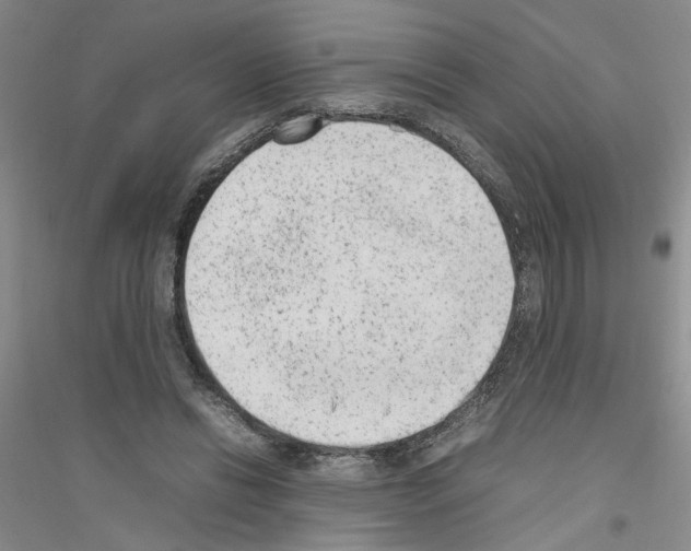 X0000116880446201002021151