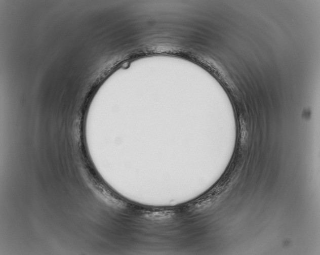 X0000116880447201002021151