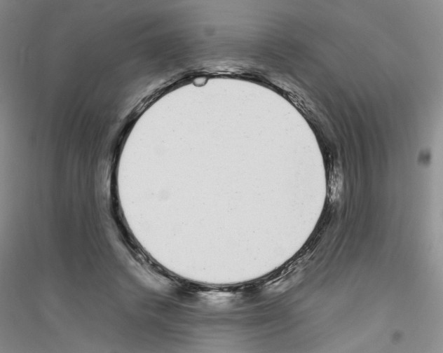 X0000116880448201002021151