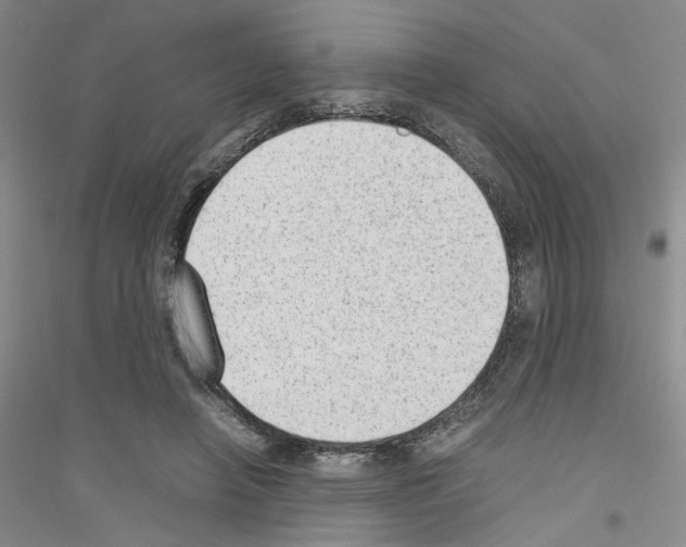 X0000116880450201002021151