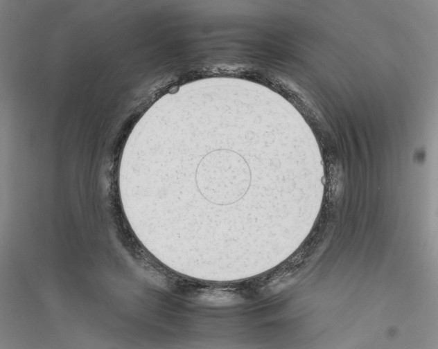 X0000116880451201002021151