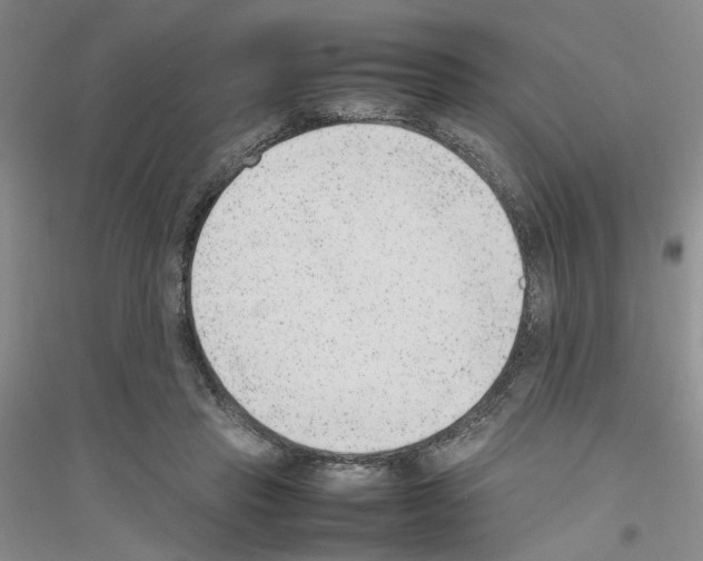 X0000116880453201002021152