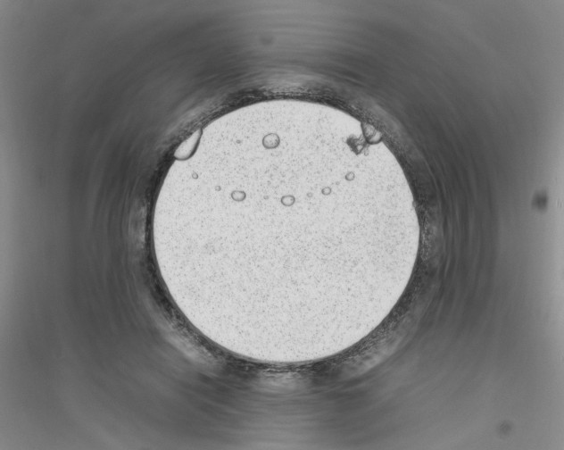 X0000116880454201002021152