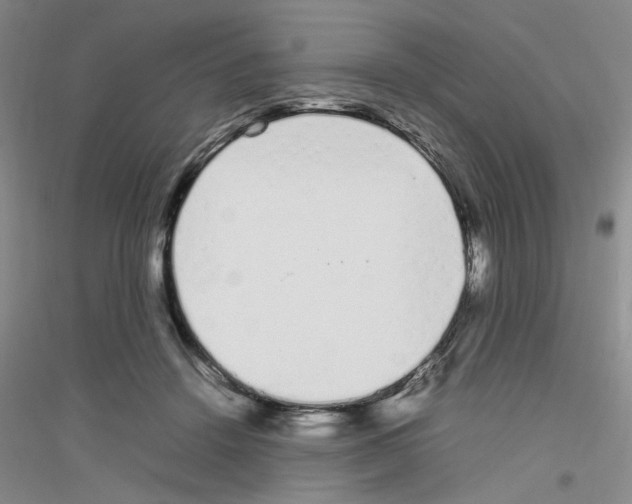 X0000116880456201002021152