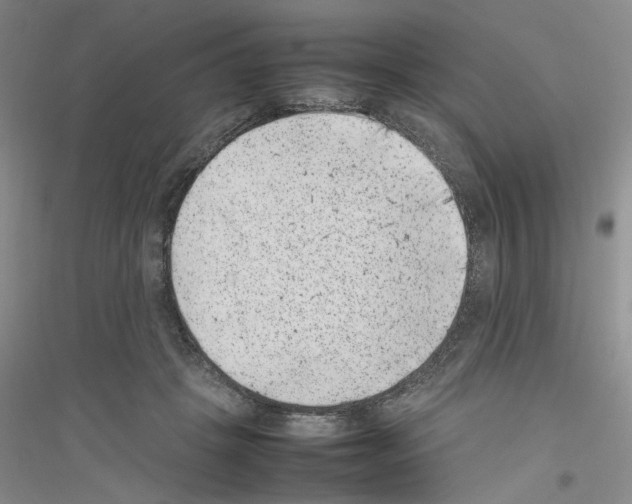 X0000116880457201002021152