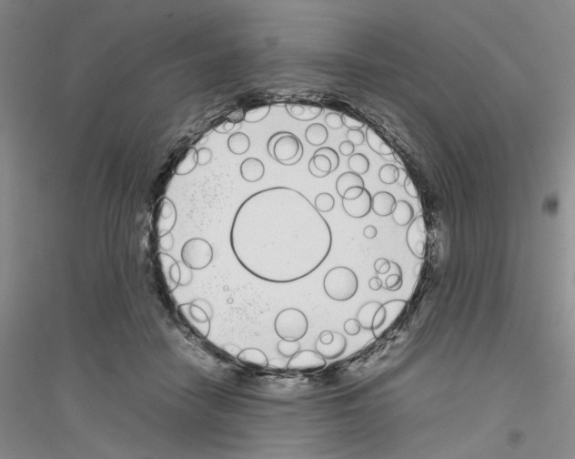 X0000116880458201002021152
