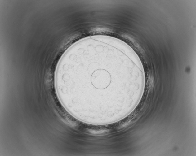 X0000116880459201002021152