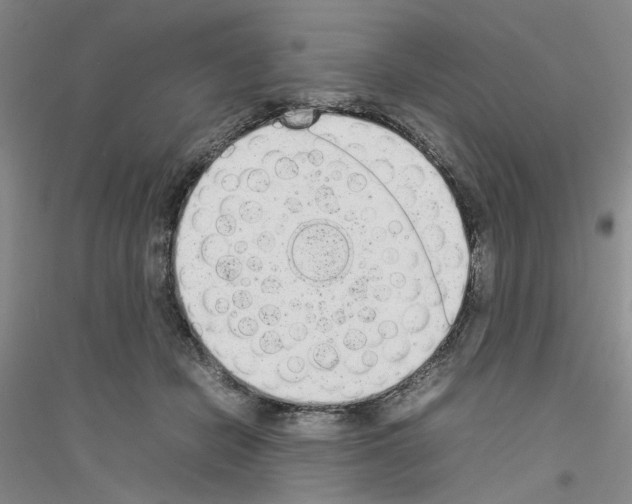 X0000116880462201002021152
