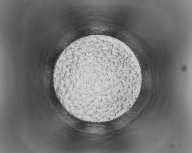 X0000116880463201002021152