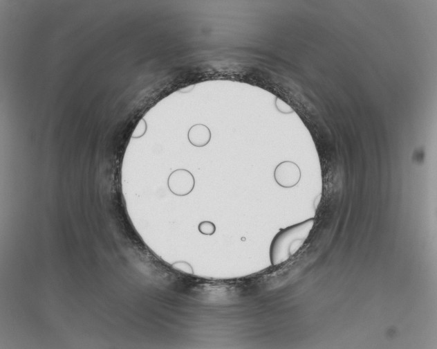 X0000116880464201002021152