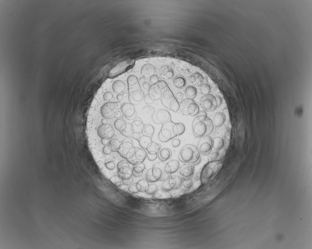 X0000116880466201002021152
