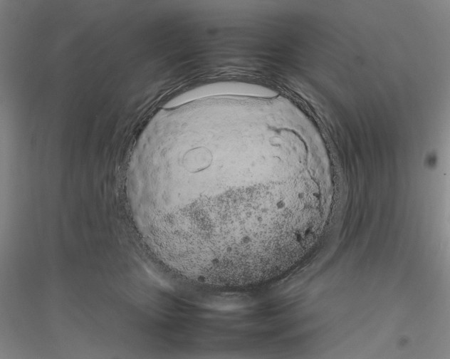 X0000116880467201002021152