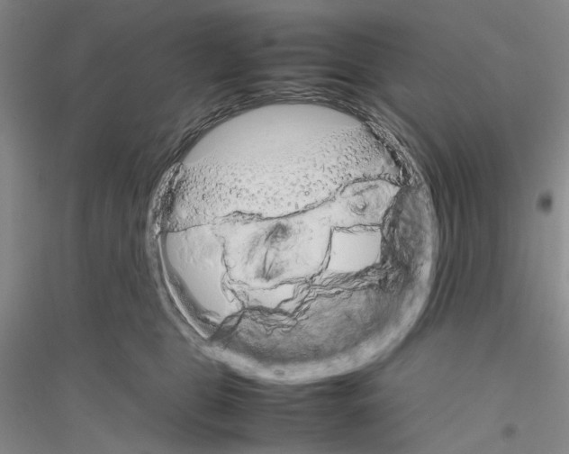 X0000116880469201002021152