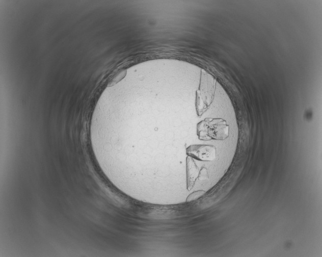 X0000116880470201002021152