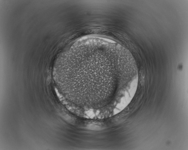 X0000116880471201002021152