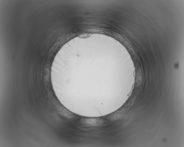 X0000116880473201002021152