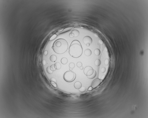 X0000116880474201002021152