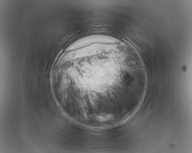 X0000116880475201002021152