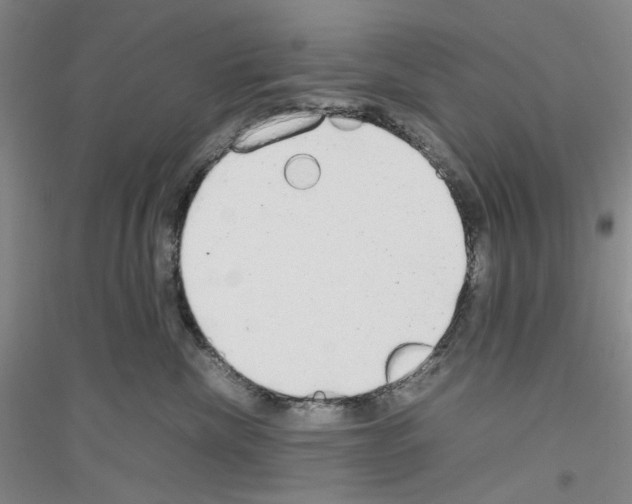 X0000116880476201002021152