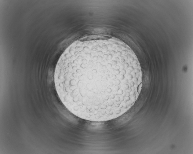 X0000116880478201002021152