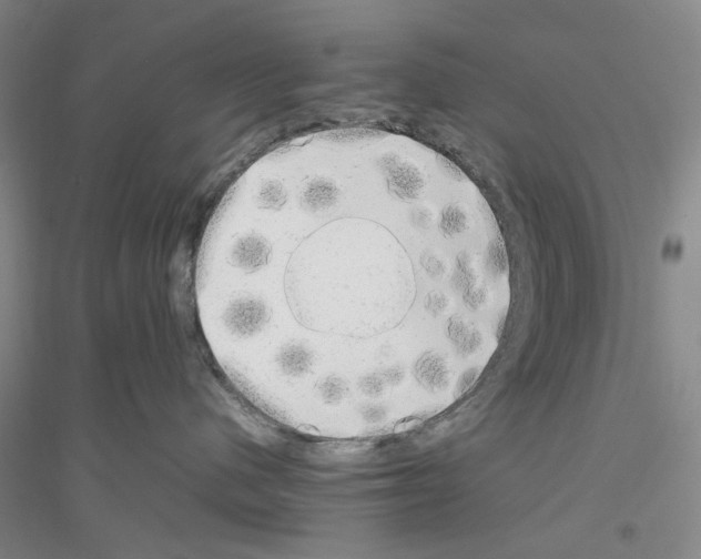 X0000116880480201002021152