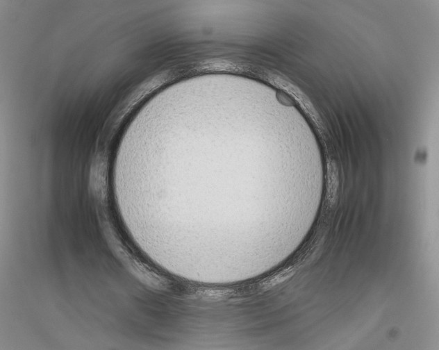 X0000116880482201002021151
