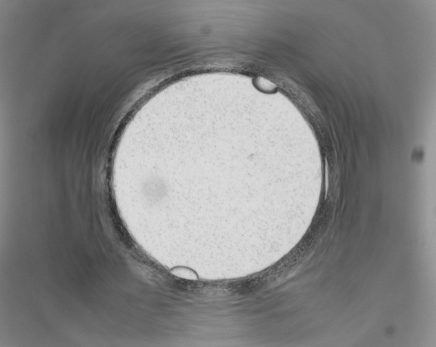 X0000116880483201002021151