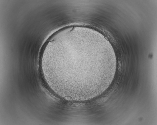 X0000116880484201002021151