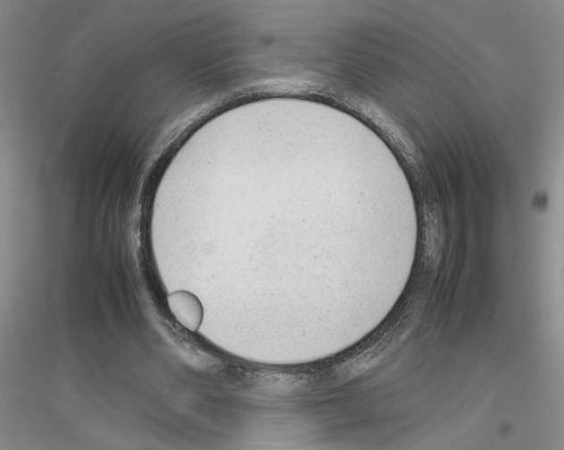 X0000116880486201002021151