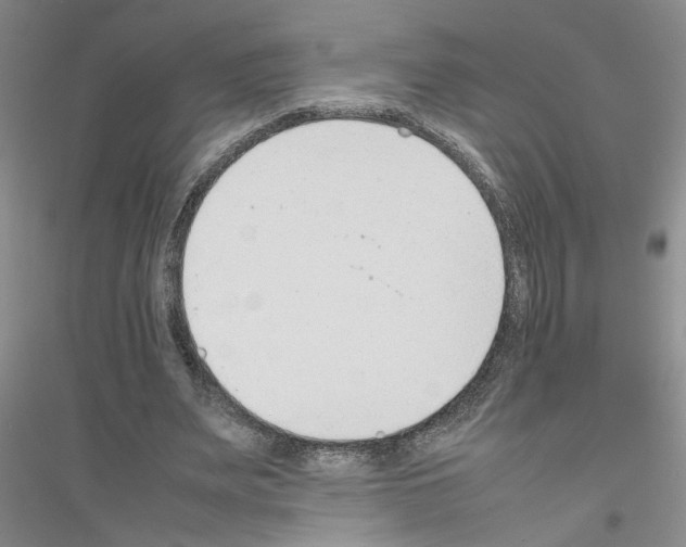 X0000116880487201002021151