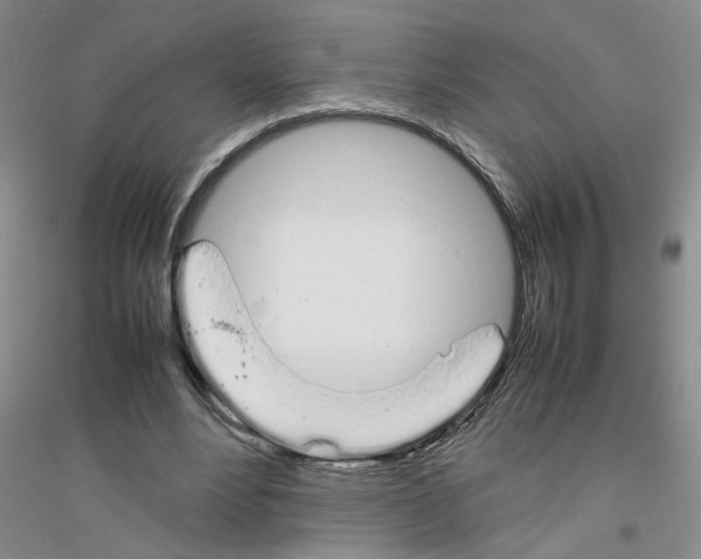 X0000116880488201002021151