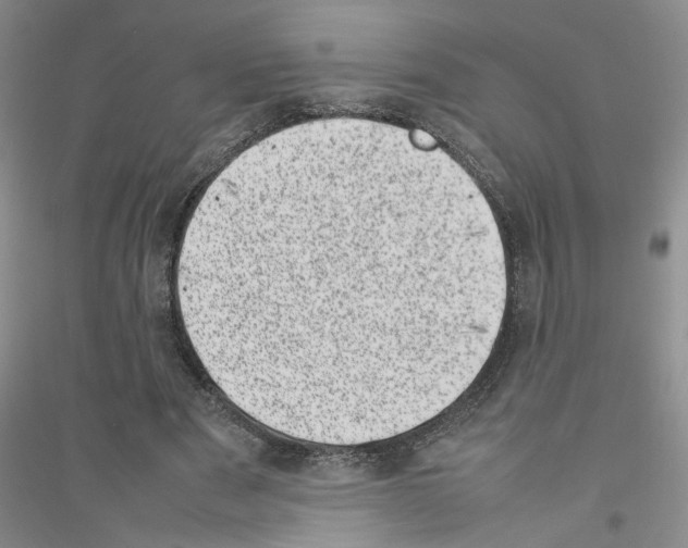 X0000116880489201002021151