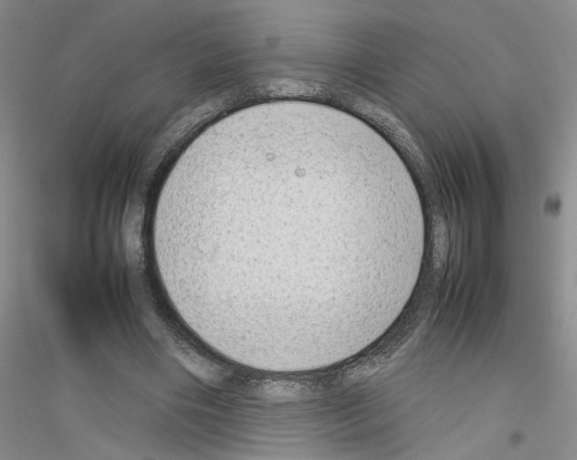 X0000116880490201002021151