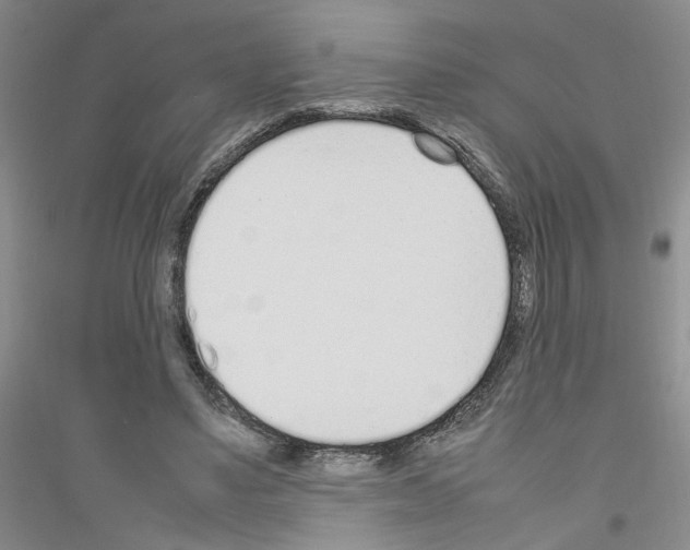 X0000116880491201002021151