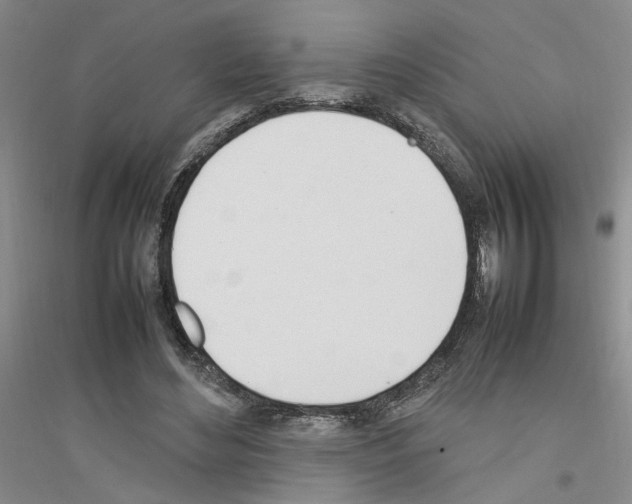 X0000116880492201002021151