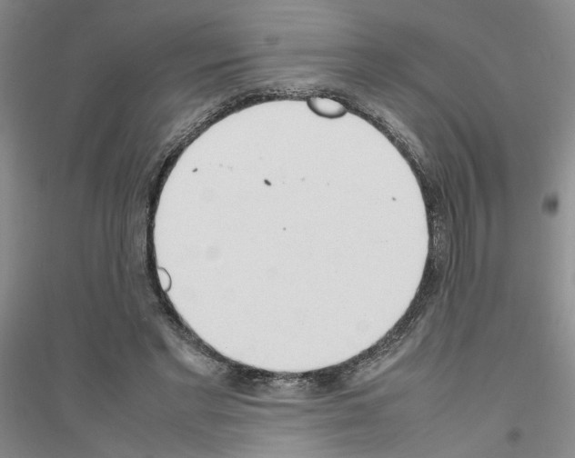 X0000116880493201002021151