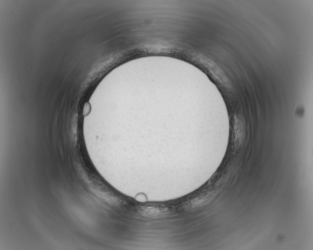 X0000116880494201002021151