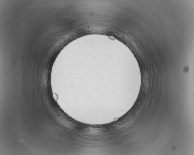 X0000116880495201002021151