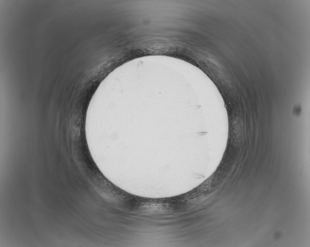 X0000116880499201002021151