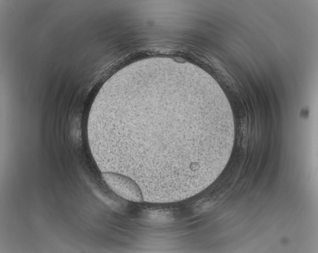 X0000116880500201002021151