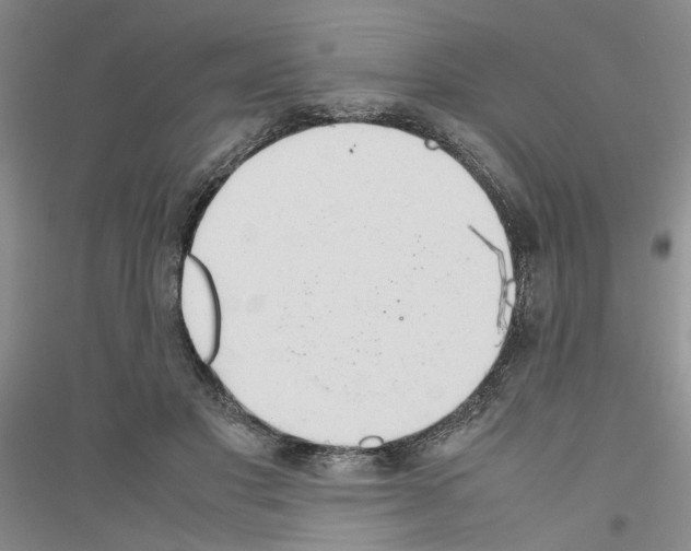 X0000116880501201002021151