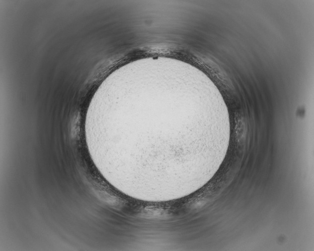 X0000116880502201002021151
