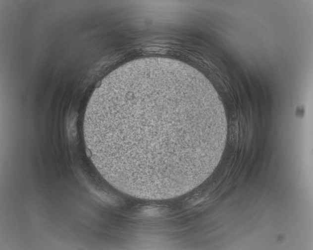 X0000116880504201002021151