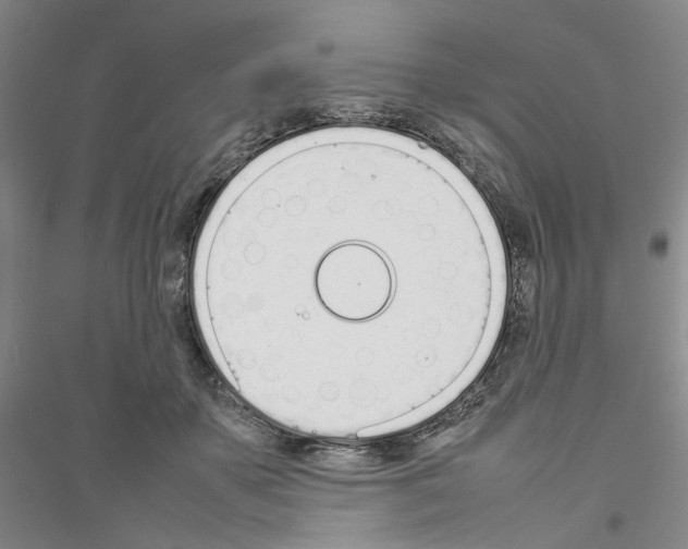 X0000116880507201002021151