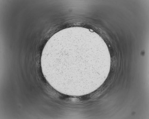 X0000116880509201002021151