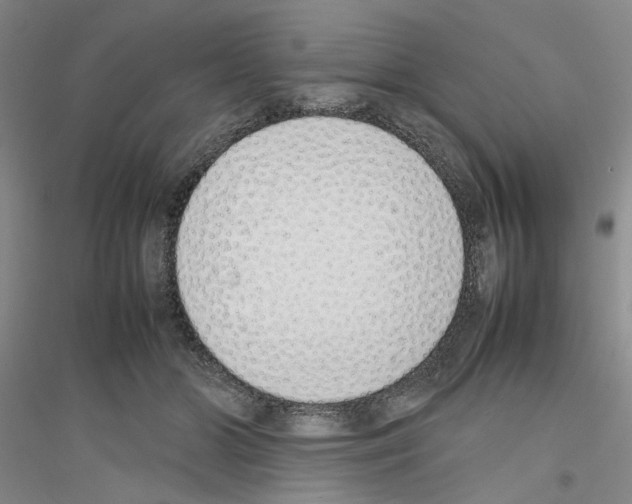 X0000116880510201002021151