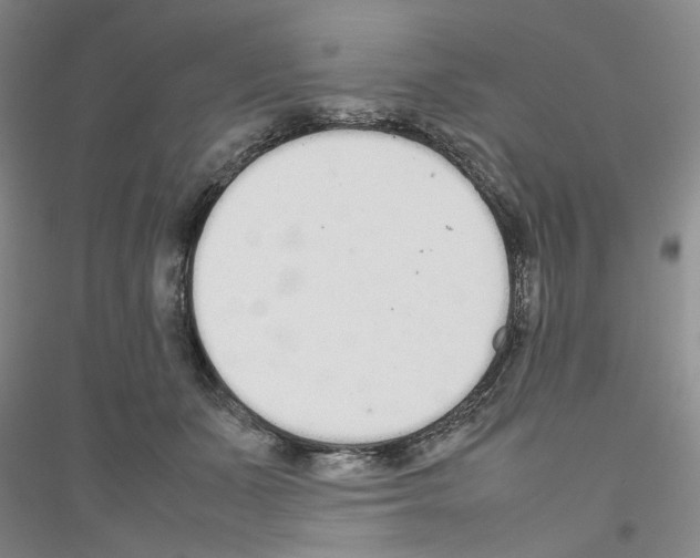 X0000116880511201002021151