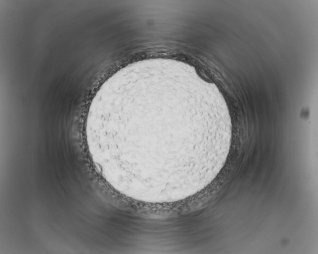 X0000116880512201002021151