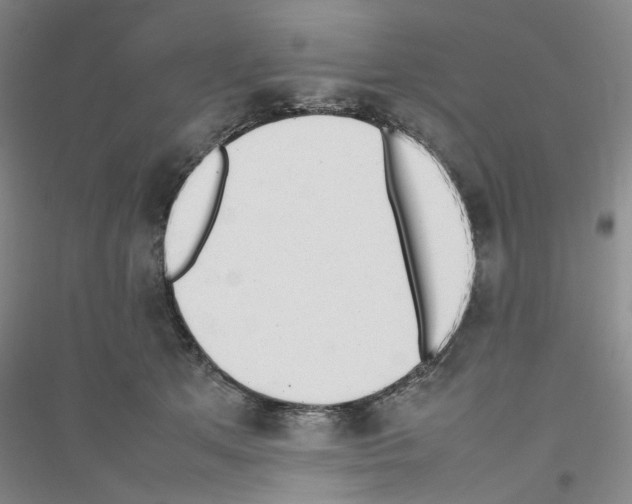 X0000116880513201002021151
